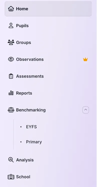The left menu: Home, Pupils, Groups, Observations with a crown icon, Assessments, Reports, Benchmarking opened to show EYFS and Primary, Analysis and School.