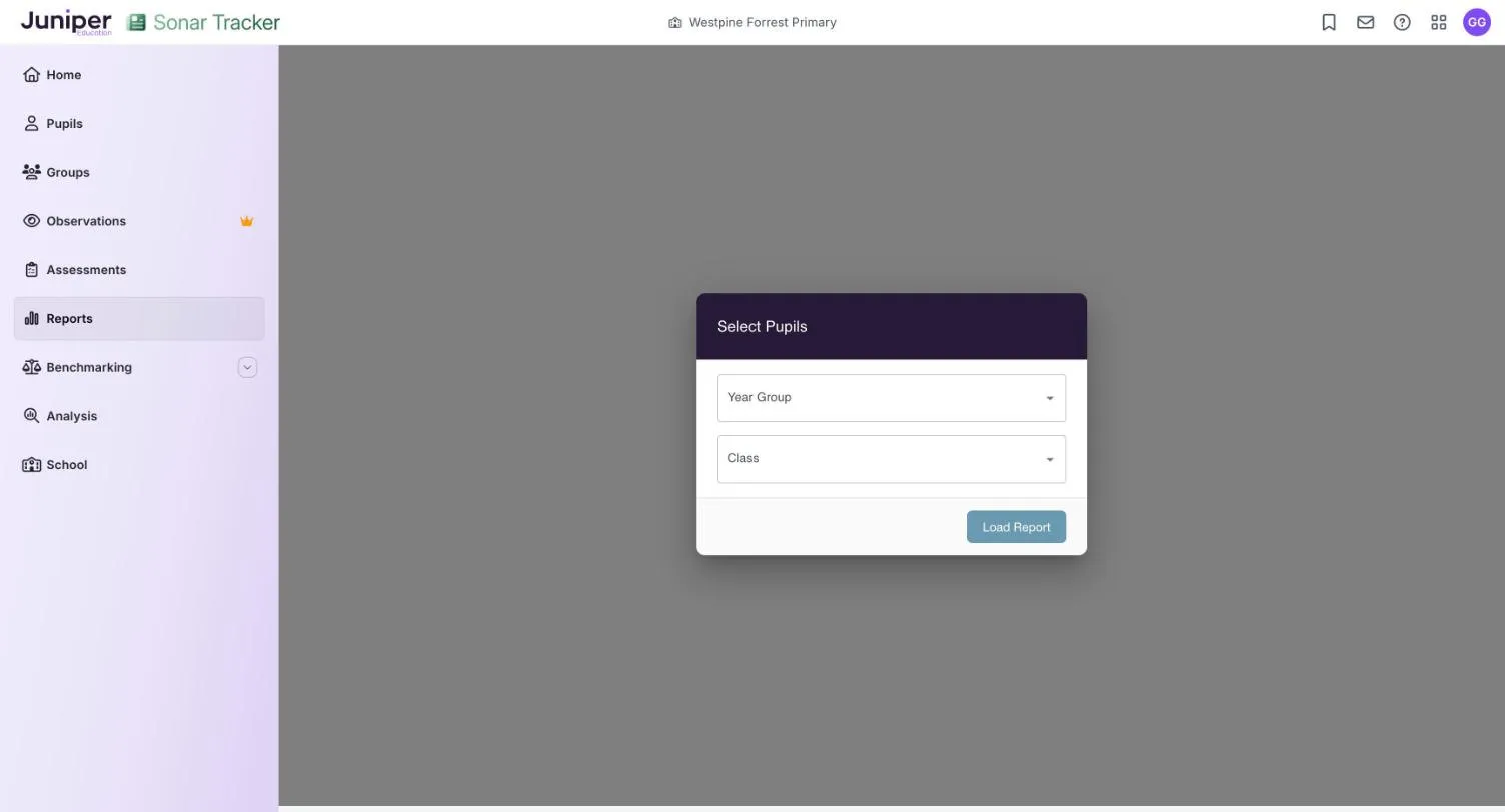 The Select Pupils box for an older report, with a Year Group list, a Class list and a Load Report button.