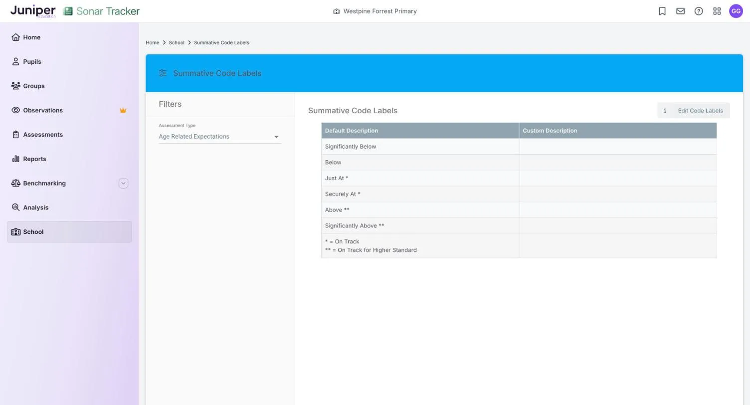 The Summative Code Labels page with Age Related Expectations chosen. A table lists Significantly Below, Below, Just At, Securely At, Above and Significantly Above, with an empty Custom Description column and an Edit Code Labels button.