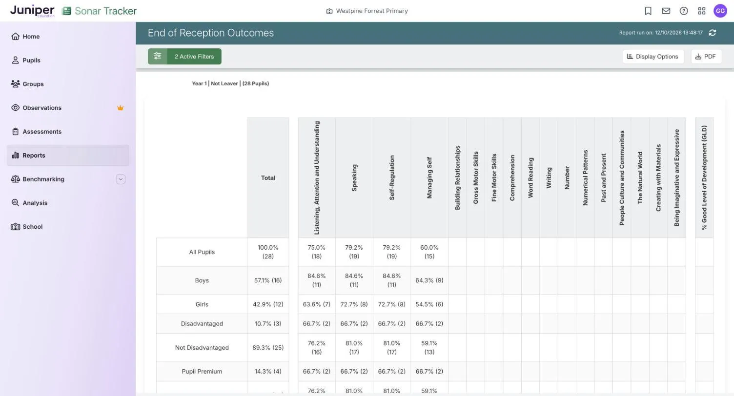 End of Reception Outcomes with Summary View ticked, for the current year 1. Rows for All Pupils, Boys, Girls, Disadvantaged, Not Disadvantaged and Pupil Premium show a Total and a percentage for each of the first four early learning goals.
