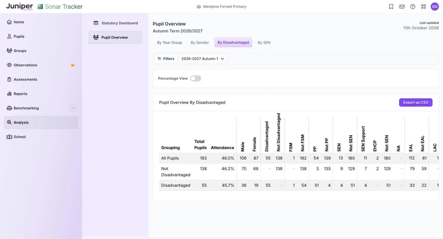 Pupil Overview By Disadvantaged. Three rows show All Pupils 193 at 46.0% attendance, Not Disadvantaged 138 at 46.2% and Disadvantaged 55 at 45.7%, with counts for each characteristic.